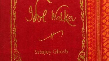A sample cover of the book: red coloured handloom sari with gold embossed nameplate and lettering for the title and author's name. The border of the sari lines the right hand margin of the cover.