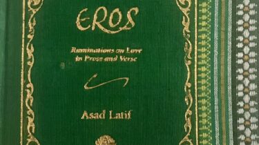 A sample cover of the book: bright green coloured handloom sari with gold embossed nameplate and lettering for the title and author's name. The border of the sari lines the right hand margin of the cover.